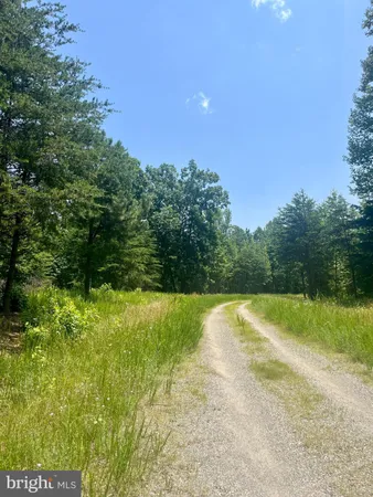 a view of an outdoor space and a yard