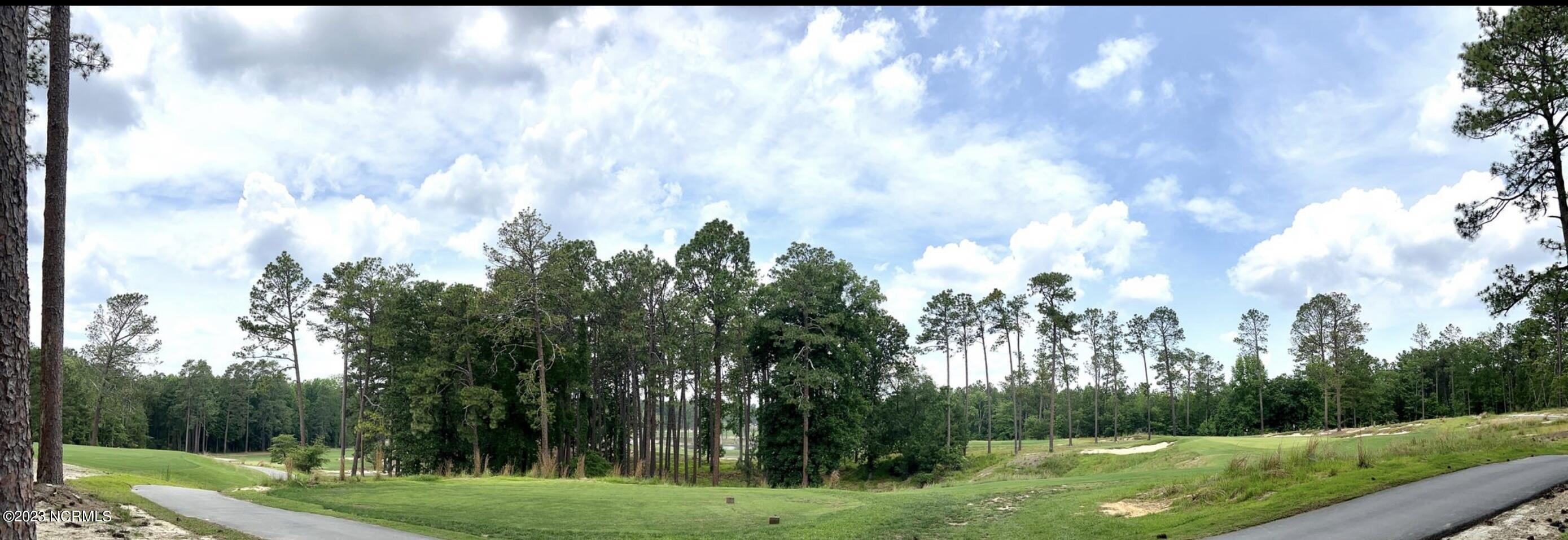 Golf course behind tree buffer in back yard