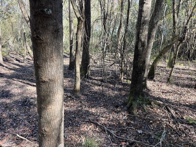 26230 Hub Brown Road Opp, AL 36467 - Photo 13 of 27 Gallery Image 13