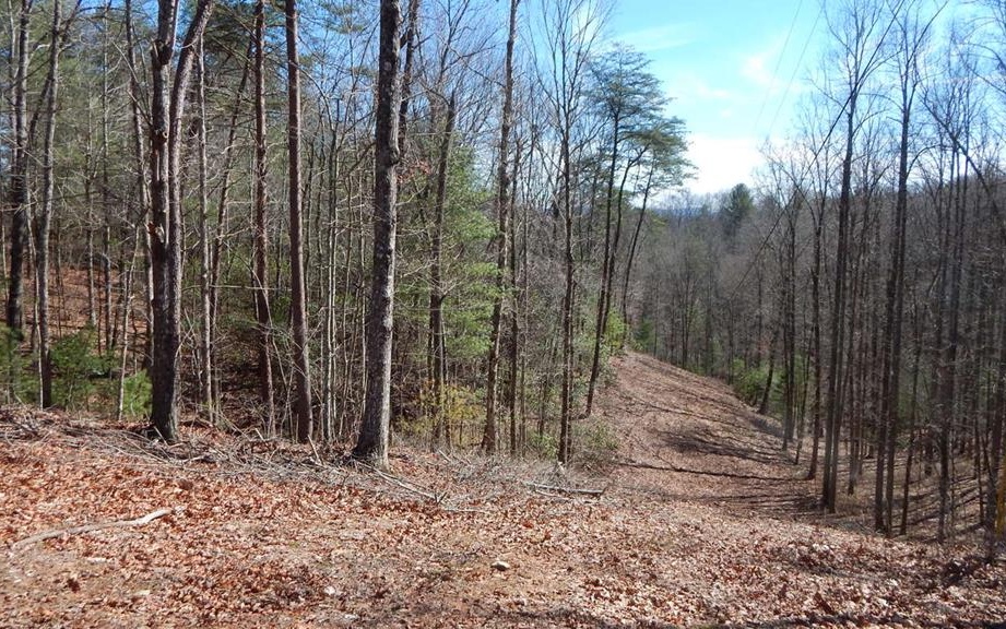7 Horton Road Murphy, NC 28906 - Photo 1 of 1 Main View