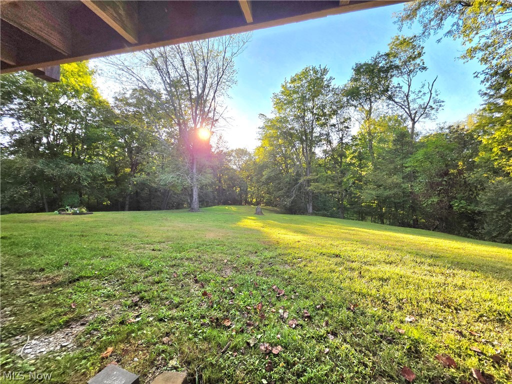 2372 Oak Grv Ext Road St. Marys, WV 26170 - Photo 44 of 50 View of back yard