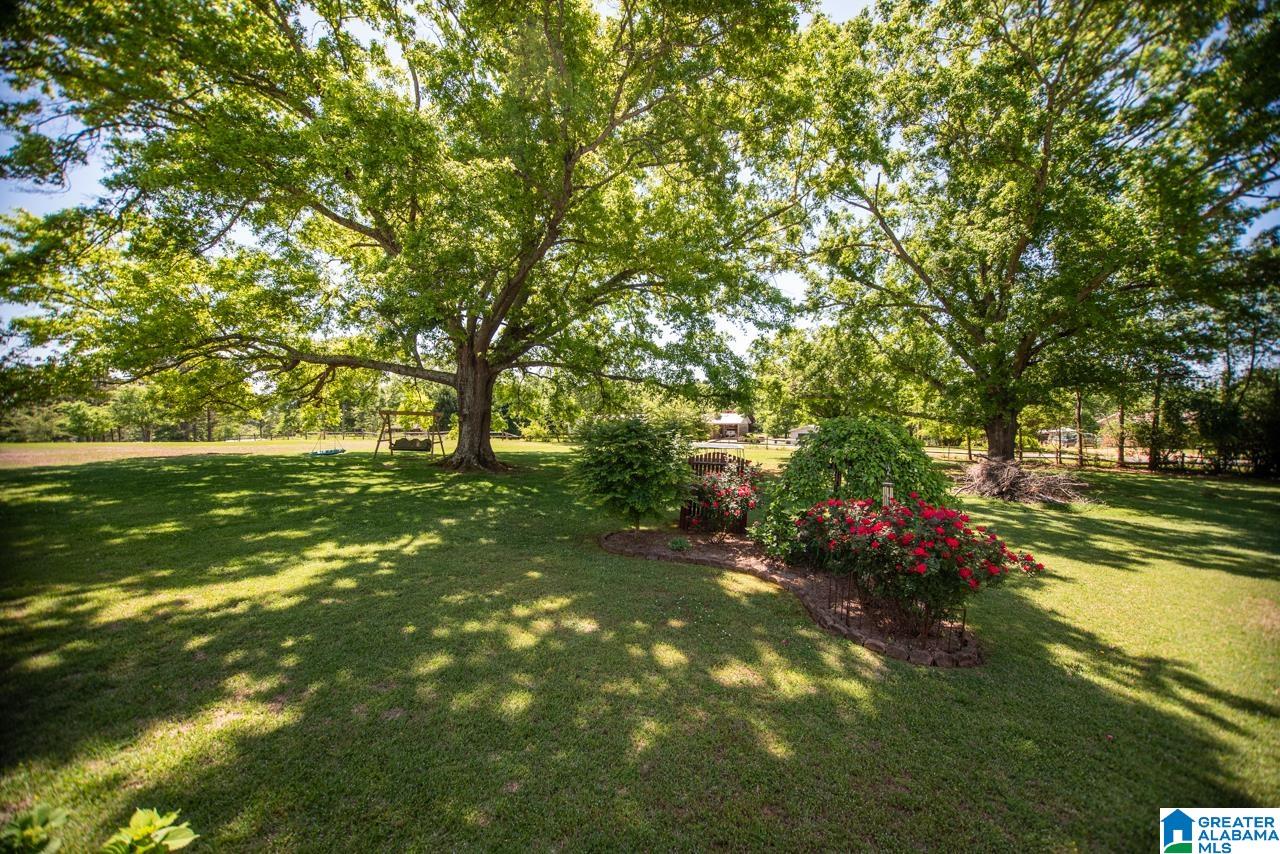 95 Cherry Tree Lane Cropwell, AL 35054 - Photo 37 of 48