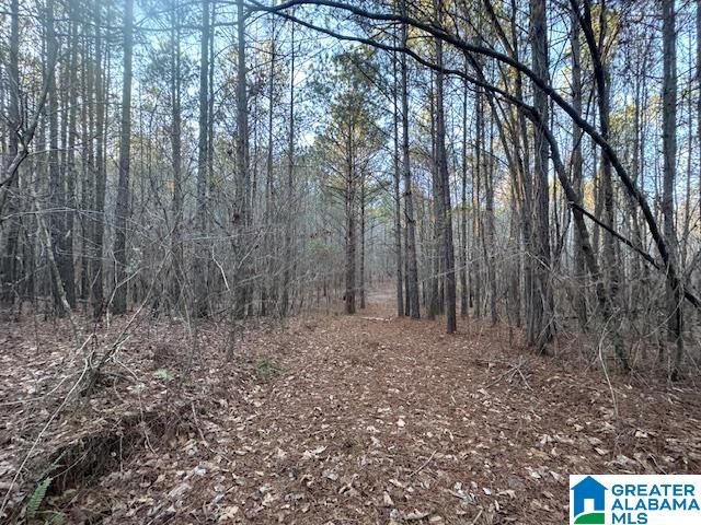 170 Valley Grove Road, Unit 45 AC Cragford, AL 36255 - Photo 15 of 19