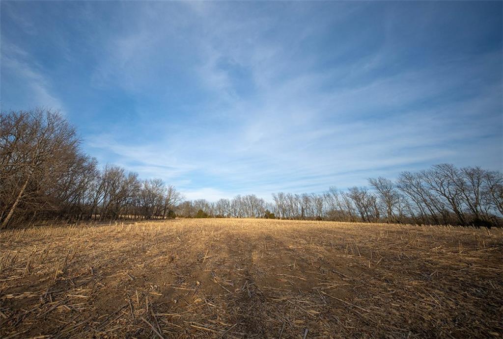 Tbd Road Rich Hill, MO 64779 - Photo 1 of 1