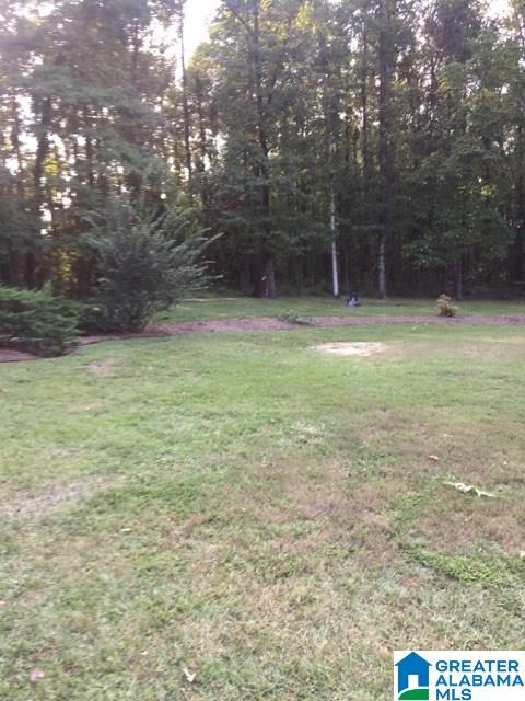 116 Campbell Road Clanton, AL 35045 - Photo 19 of 20
