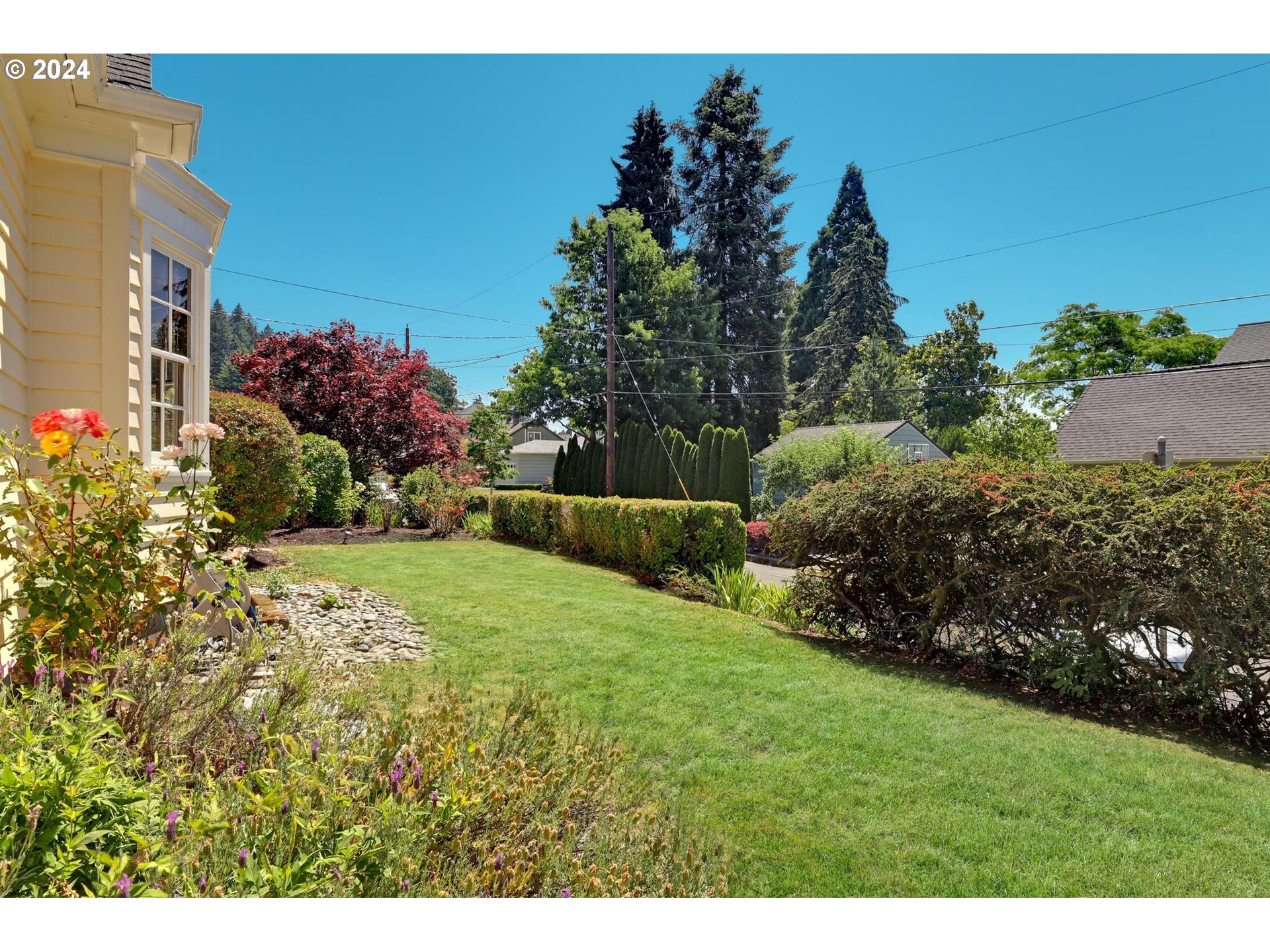 6003 Southeast Stephens Street Portland, OR 97215 - Photo 45 of 46 a view of a garden with plants and large trees
