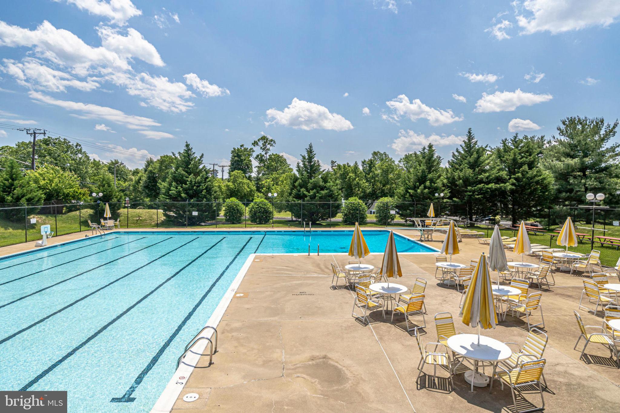 8453 Brainerd Court Springfield, VA 22153 - Photo 36 of 37 Community Pool within walking distance