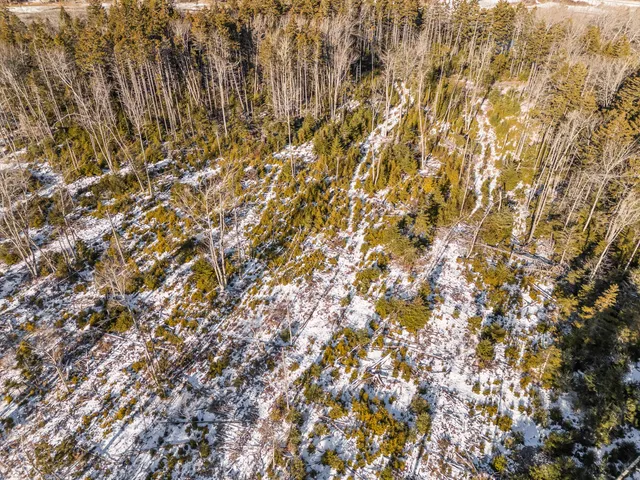 $139,000 | Lot 54 Harrington Cove Road, Spruce Head, ME 04859