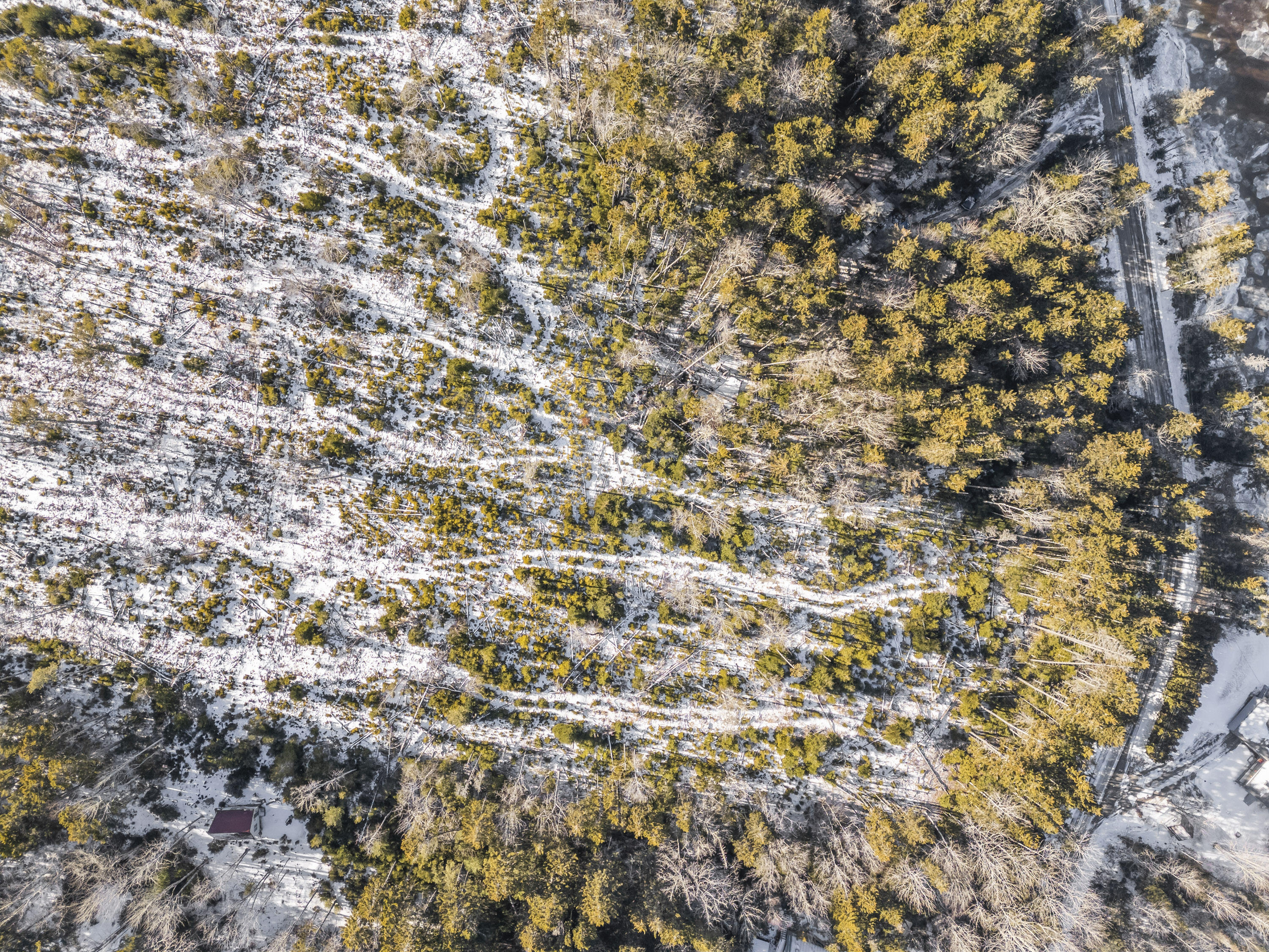 Lot 54 Harrington Cove Road Spruce Head, ME 04859 - Photo 6 of 34 54 Harrington Cove Rd_105