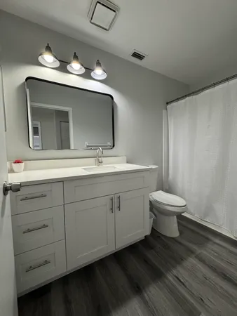 a bathroom with a toilet sink and mirror