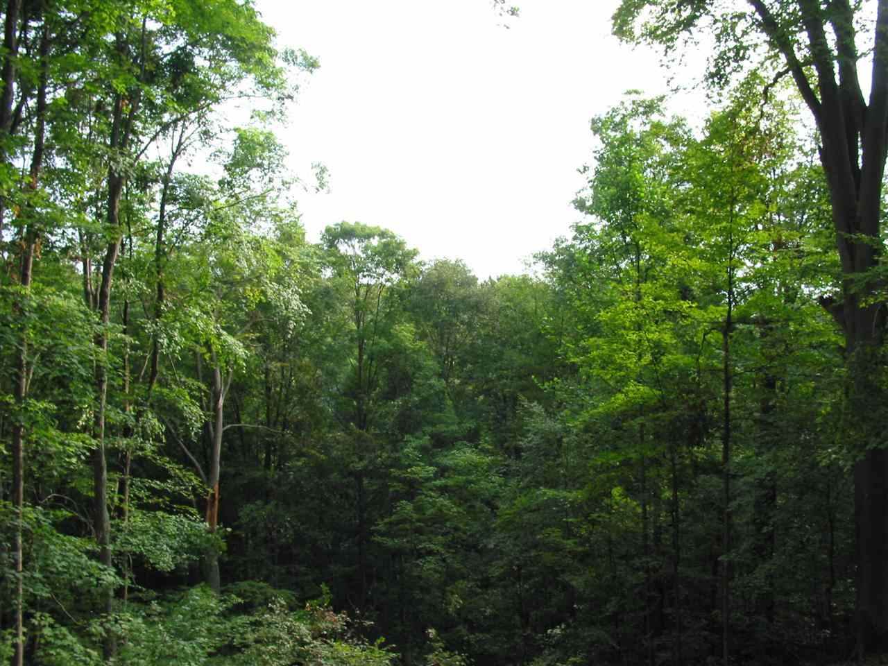 5495 East James Road Bloomington, IN 47408 - Photo 30 of 30 Gallery Image 30