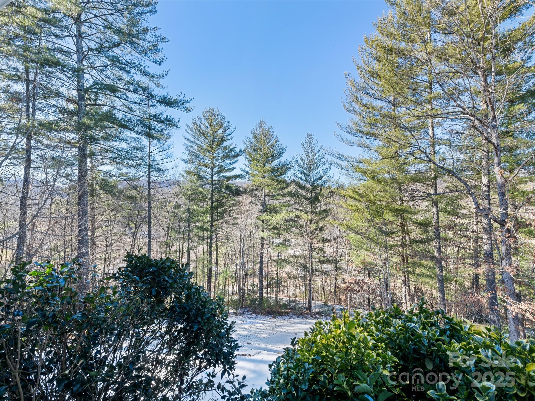 15 Lone Coyote Ridge Fletcher, NC 28732 - Photo 13 of 46 a view of garden