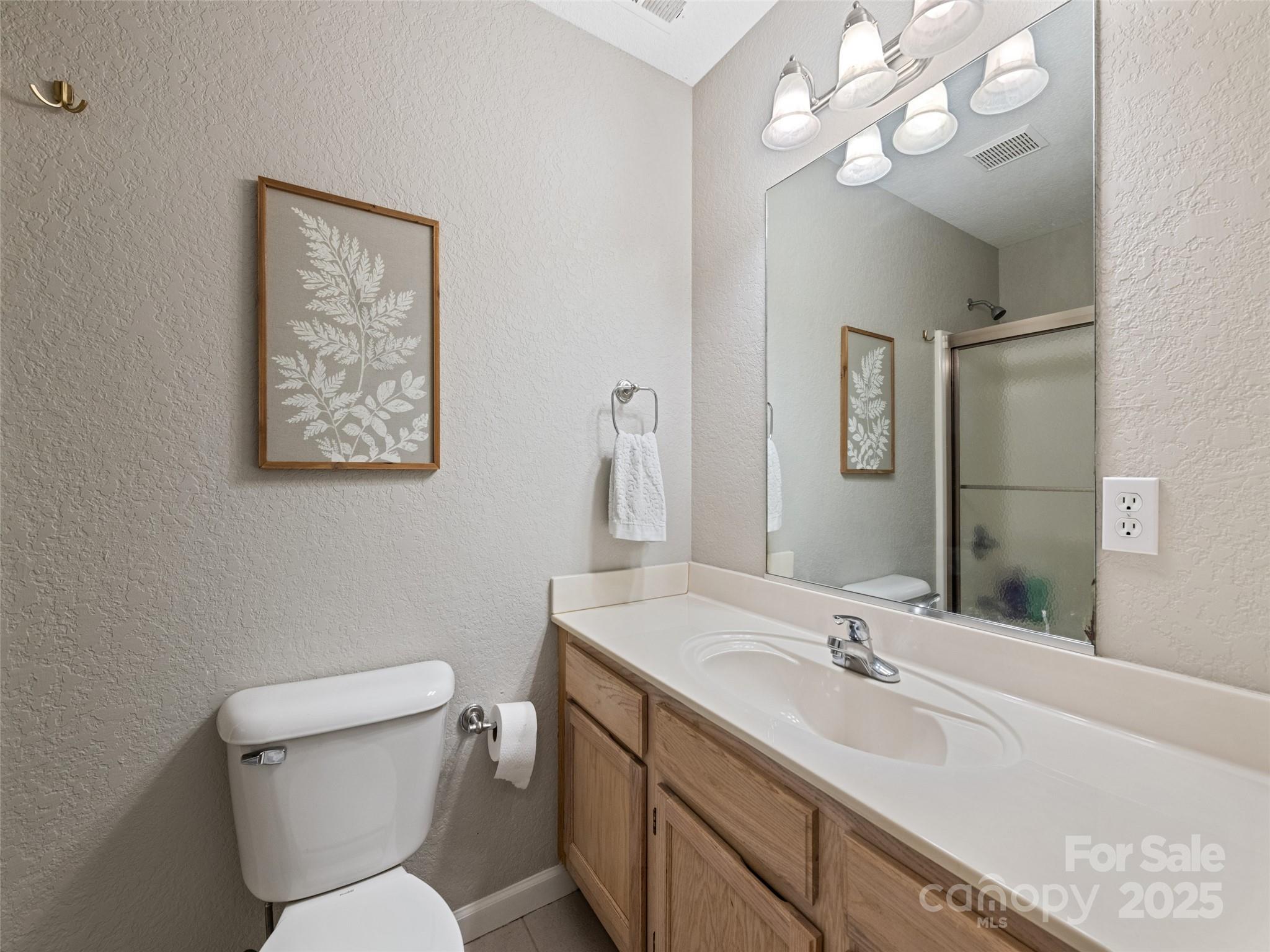 15 Lone Coyote Ridge Fletcher, NC 28732 - Photo 42 of 46 a bathroom with a toilet a sink and mirror