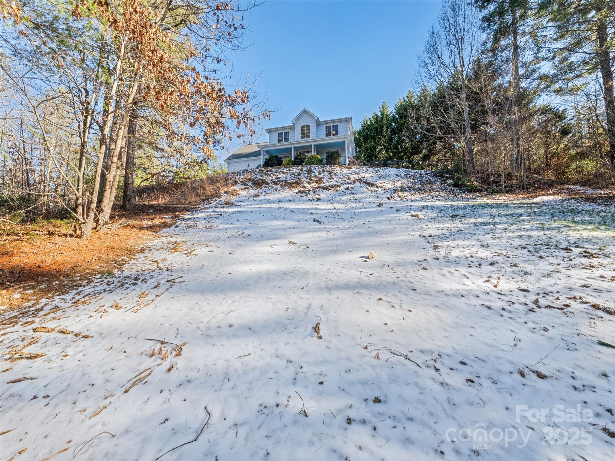 15 Lone Coyote Ridge Fletcher, NC 28732 - Photo 5 of 46 a view of dirt yard with a large tree