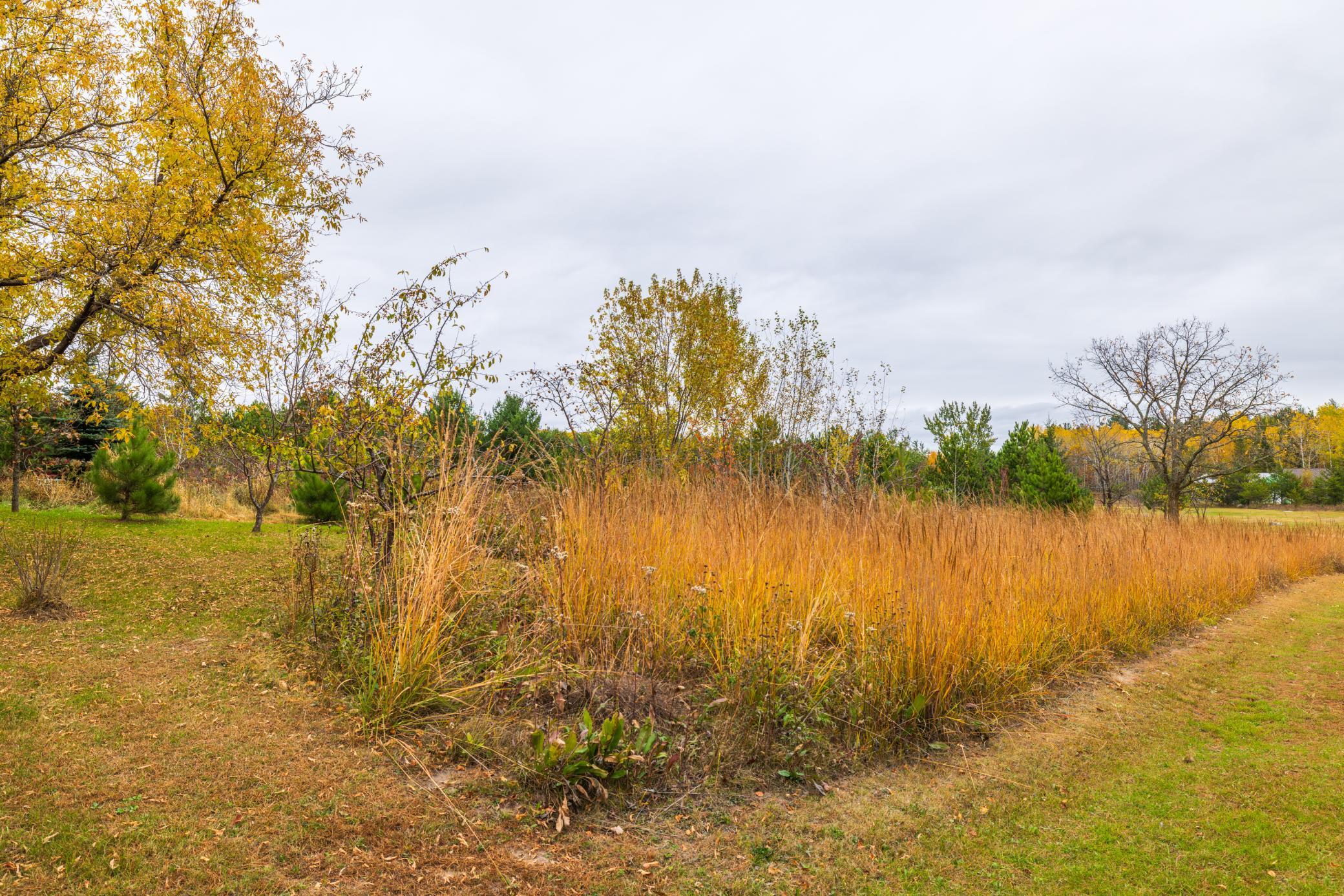 29012 Gopher Lane Akeley, MN 56433 - Photo 9 of 50