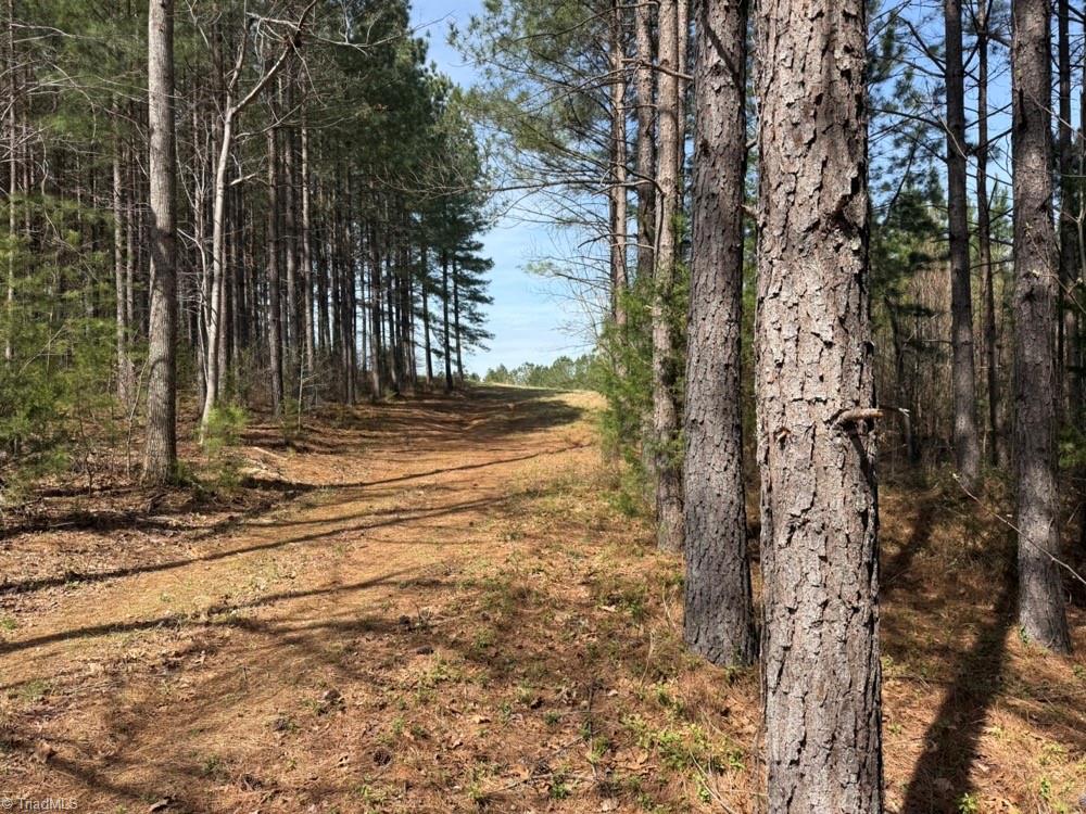 508 New Lebanon Church Road Reidsville, NC 27320 - Photo 23 of 35