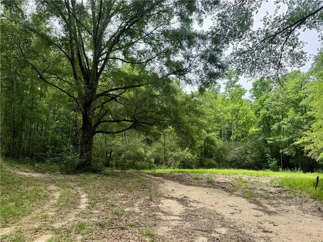 $498,000 | 19047 Highway 450, Franklinton, LA 70438