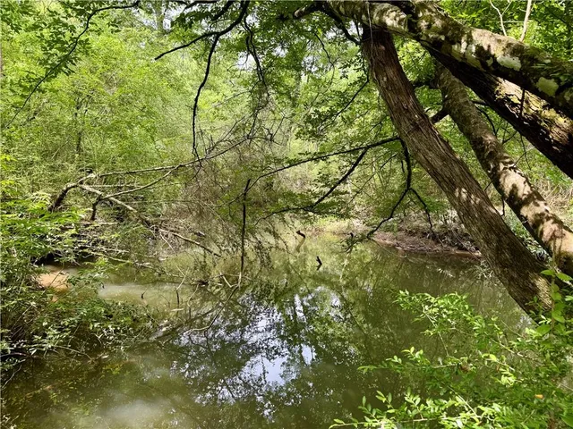 $498,000 | 19047 Highway 450, Franklinton, LA 70438