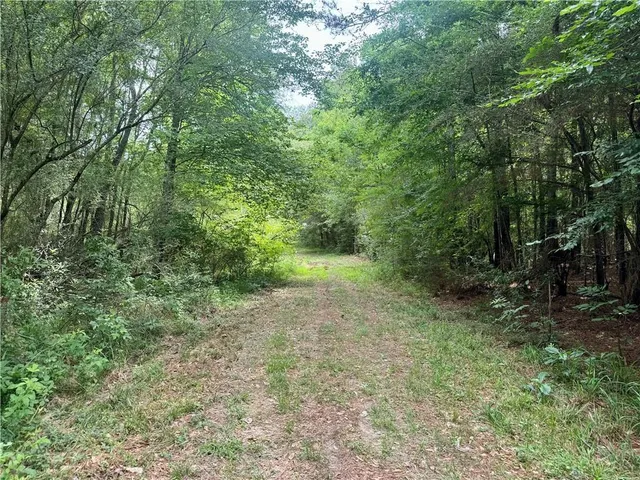 $498,000 | 19047 Highway 450, Franklinton, LA 70438