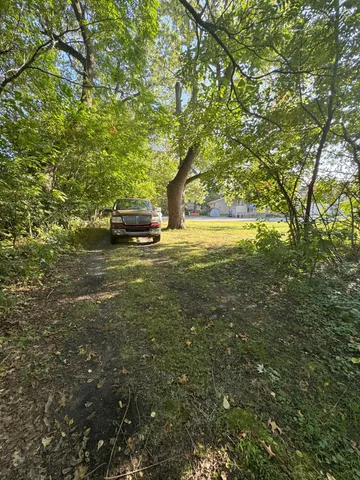a view of yard with large trees and plants