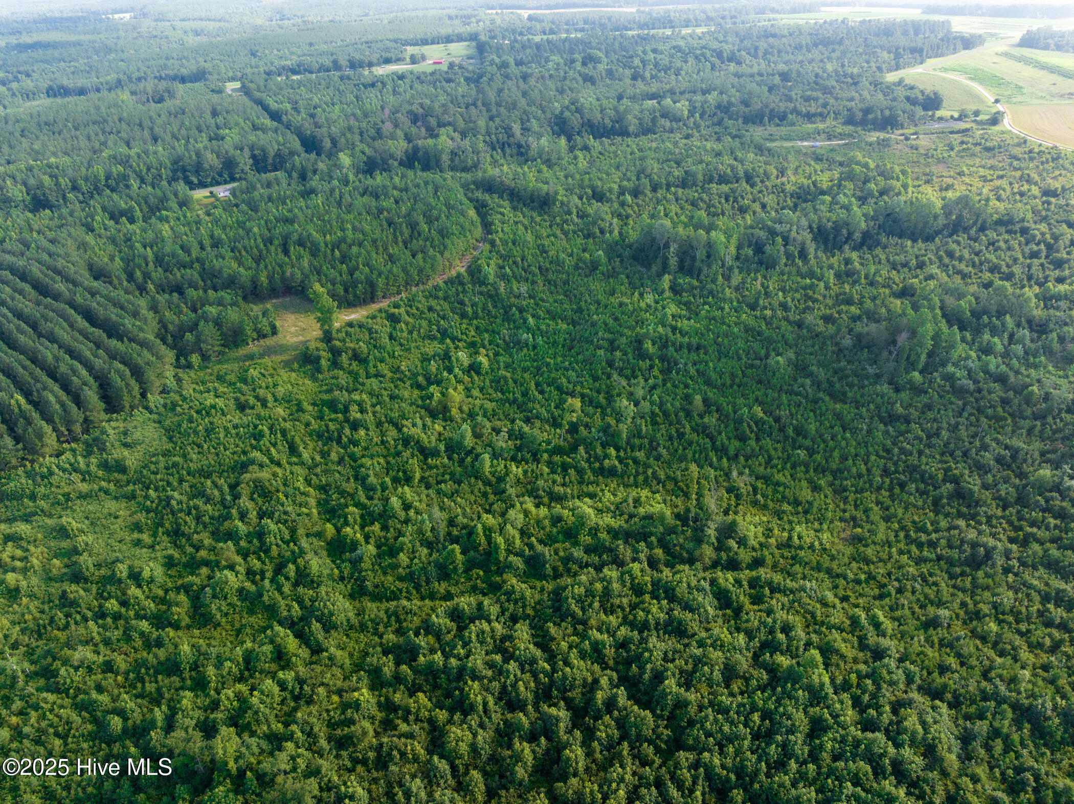 459 Research Farm Road Ellerbe, NC 28338 - Photo 4 of 14 DJI_0253