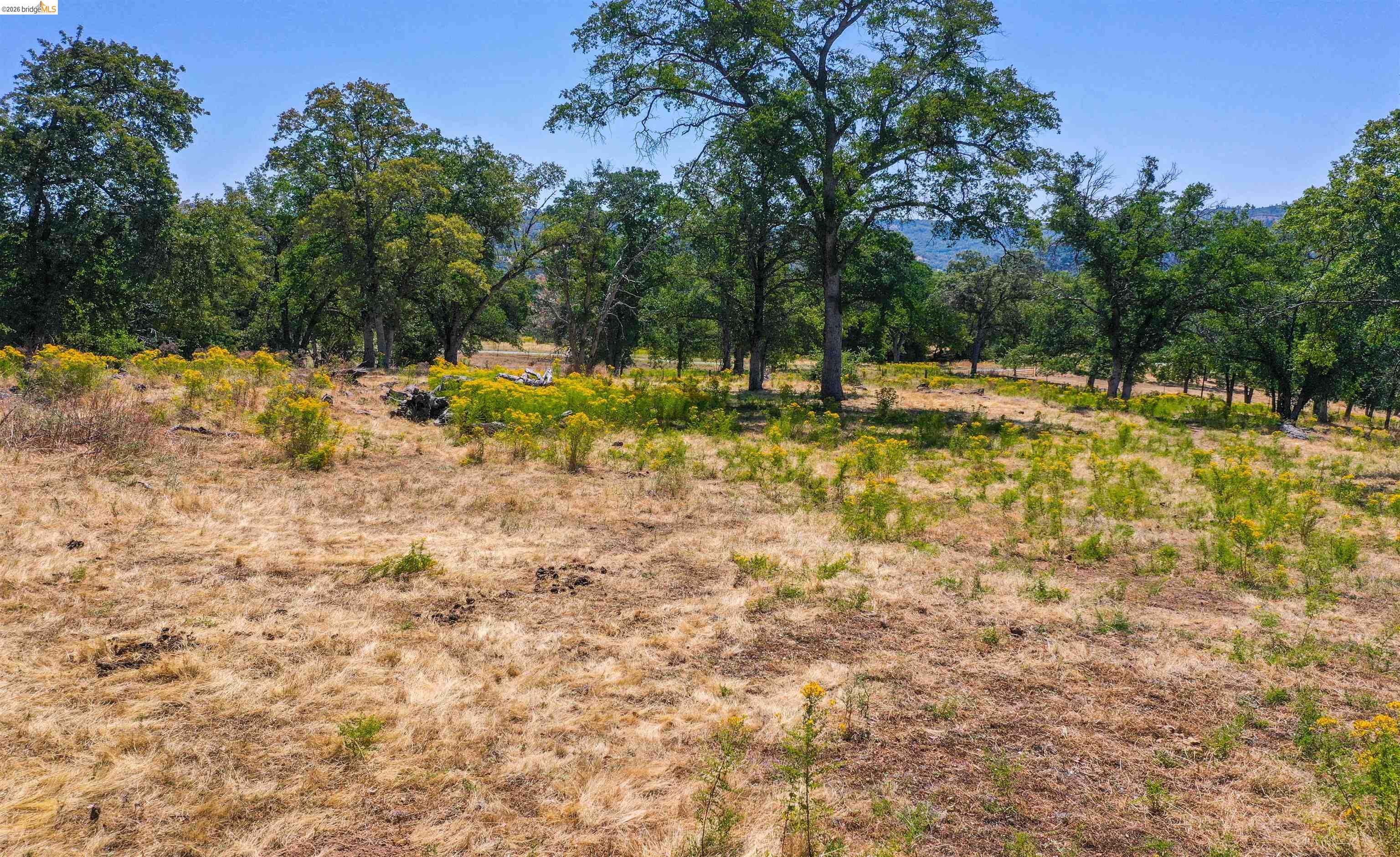 45-ac Powell Ranch Road Sonora, CA 95370 - Photo 6 of 20