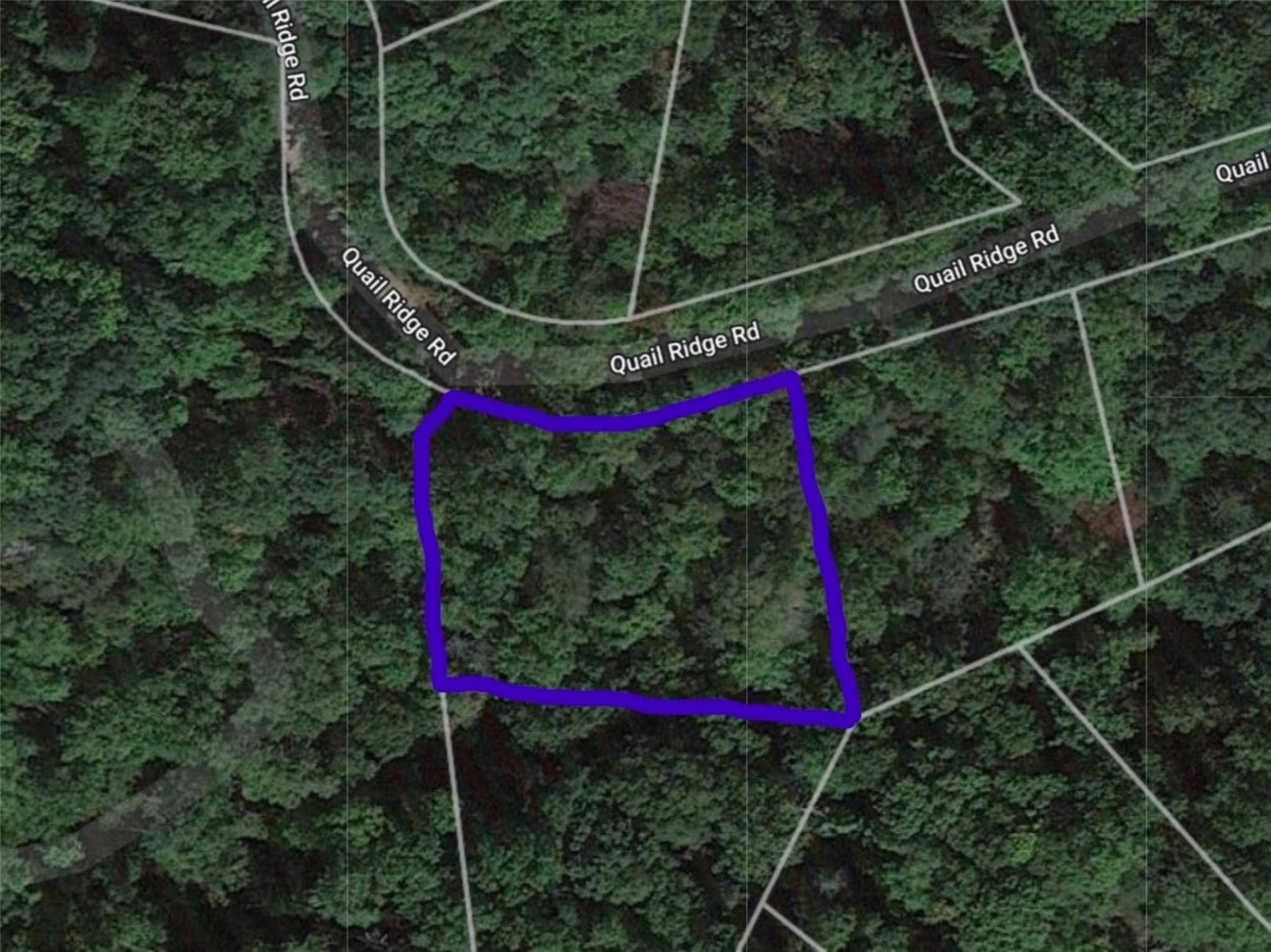 Lot 211 Quail Ridge Rd Lake Lake Lure, NC 28746 - Photo 1 of 25 a view of small space and a park