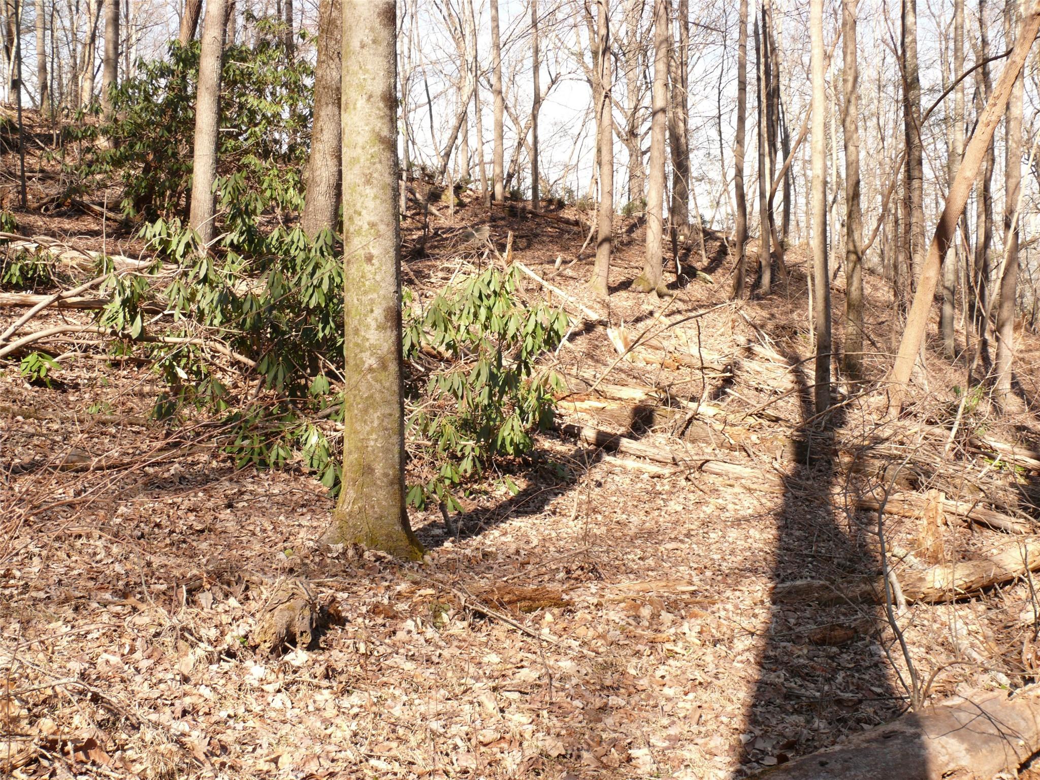Lot 211 Quail Ridge Rd Lake Lake Lure, NC 28746 - Photo 11 of 25 a view of covered with snow