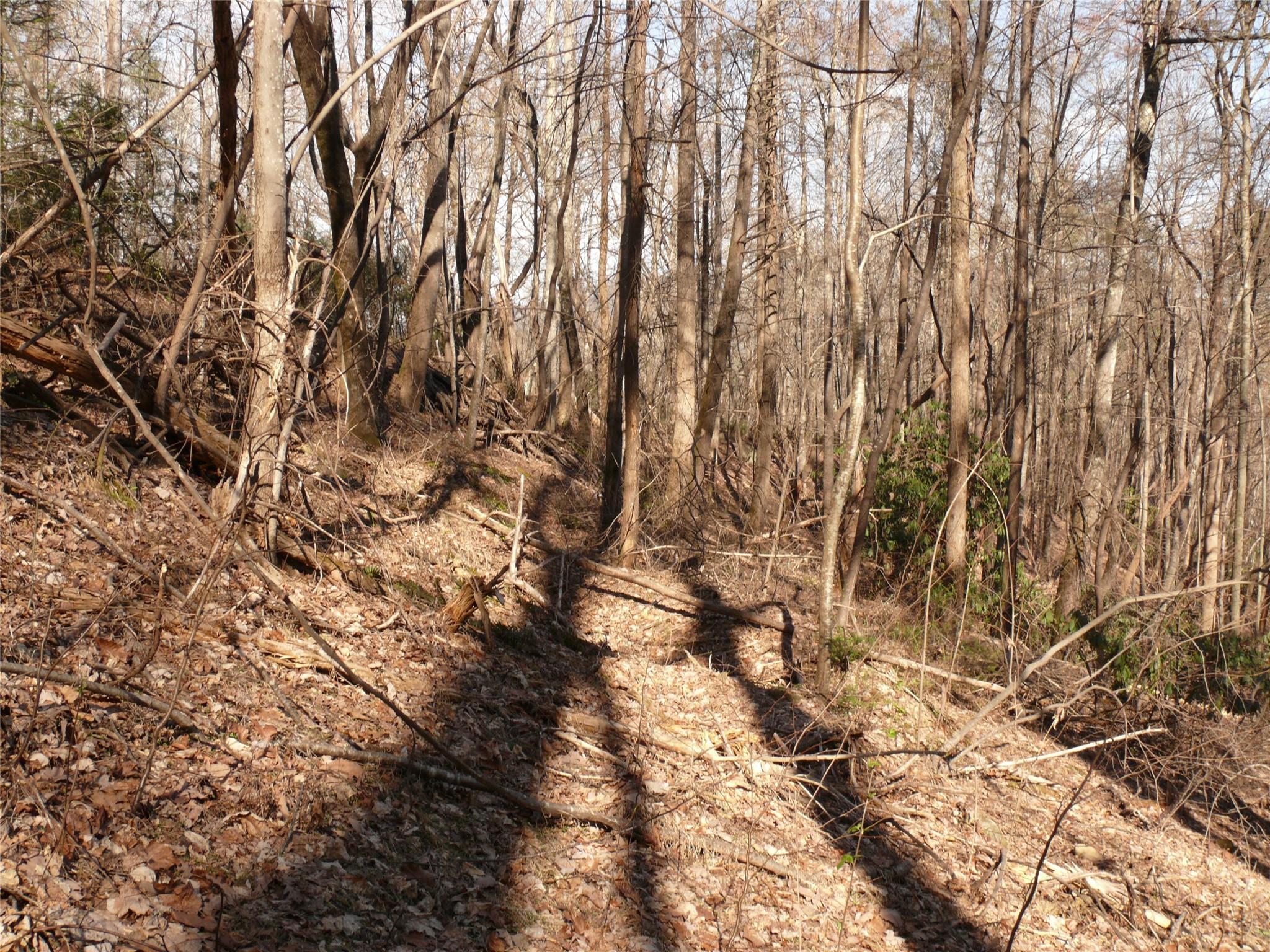 Lot 211 Quail Ridge Rd Lake Lake Lure, NC 28746 - Photo 16 of 25 a backyard of a house with lots of trees