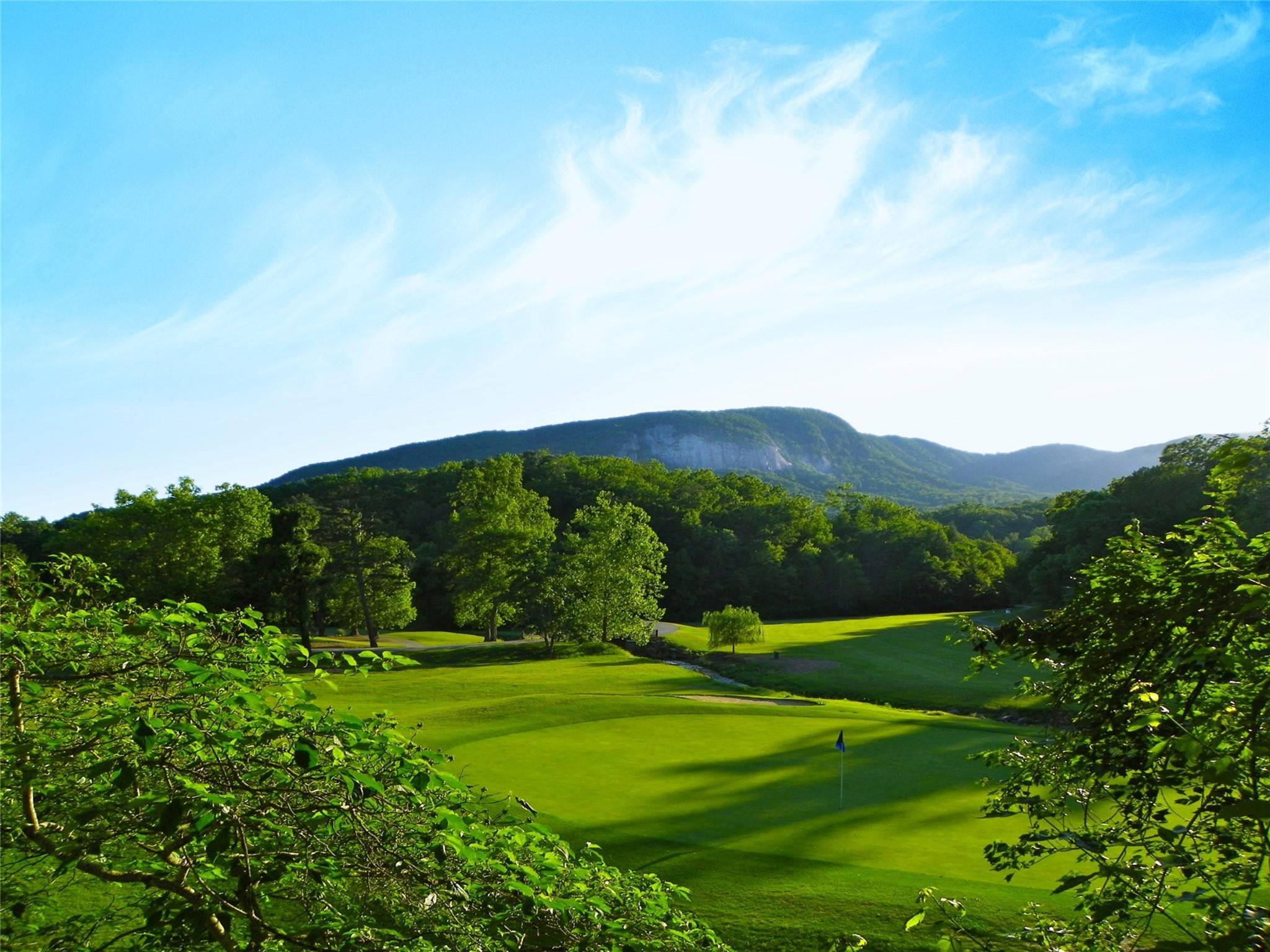 Lot 211 Quail Ridge Rd Lake Lake Lure, NC 28746 - Photo 20 of 25 a view of grassy field with mountain