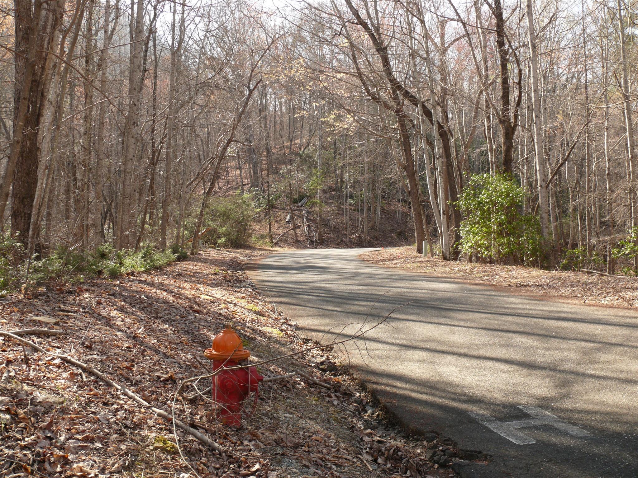 Lot 211 Quail Ridge Rd Lake Lake Lure, NC 28746 - Photo 2 of 25 a view of a yard with large trees
