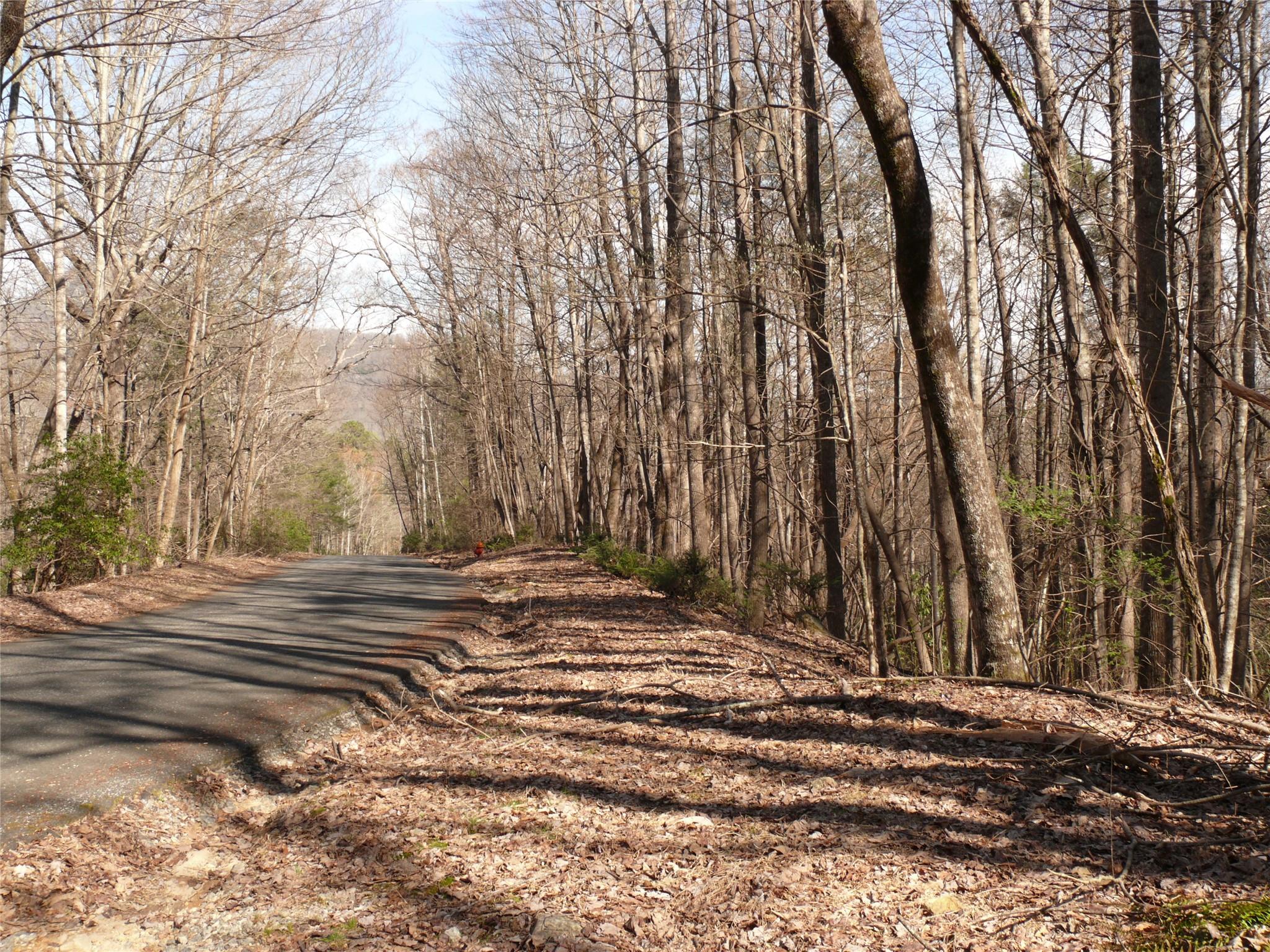 Lot 211 Quail Ridge Rd Lake Lake Lure, NC 28746 - Photo 3 of 25 a view of a backyard of the house