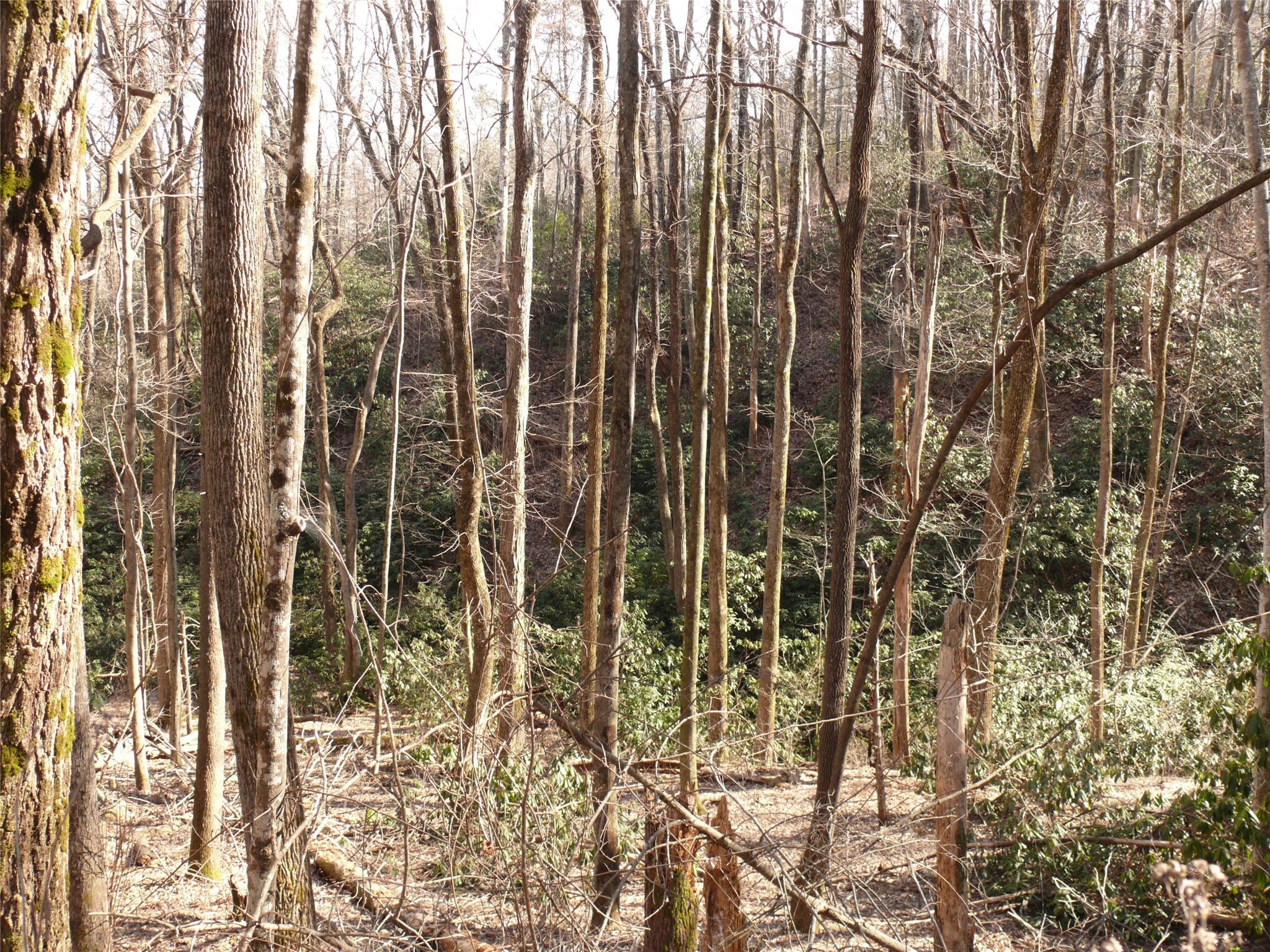 Lot 211 Quail Ridge Rd Lake Lake Lure, NC 28746 - Photo 4 of 25