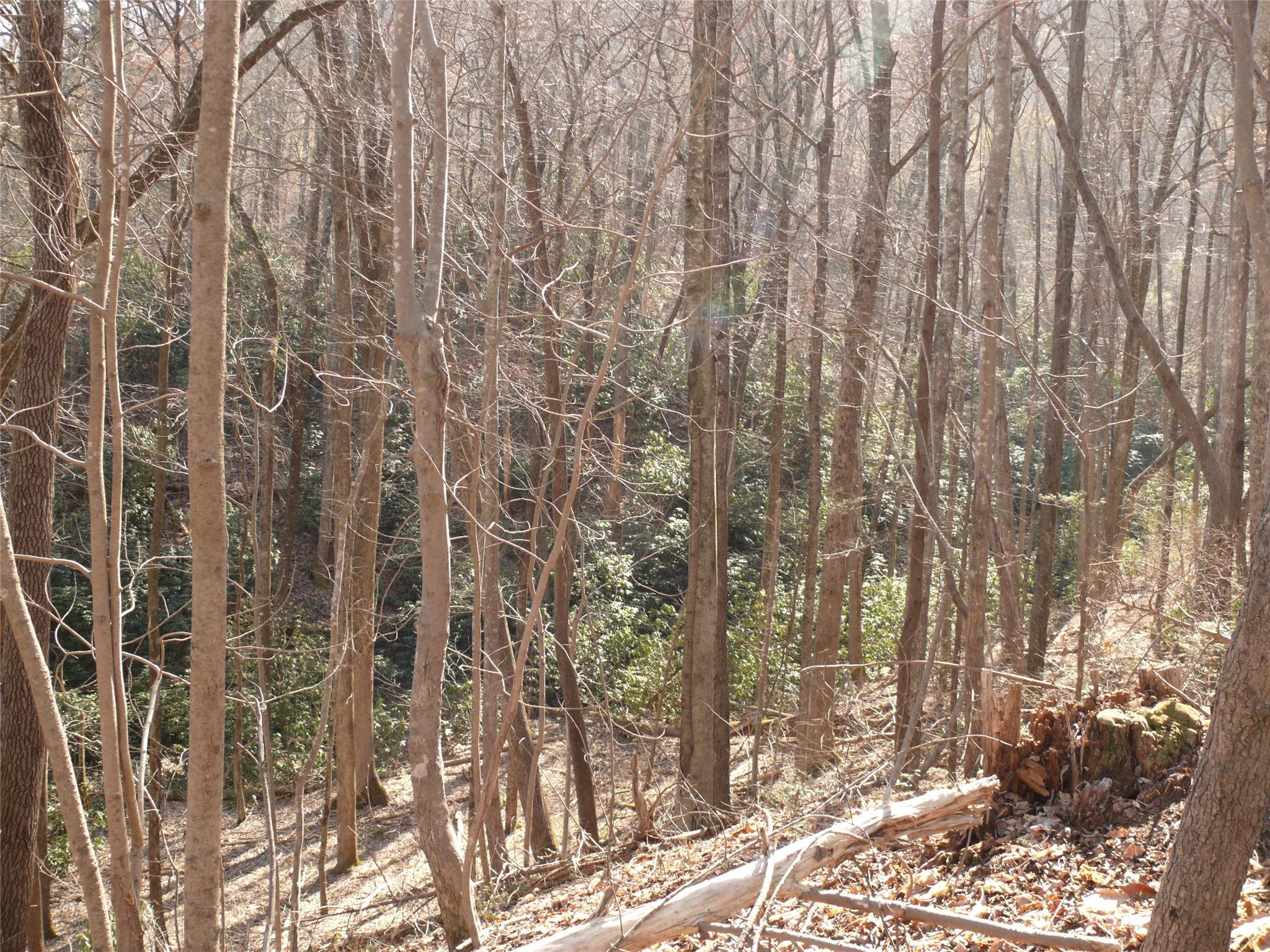 Lot 211 Quail Ridge Rd Lake Lake Lure, NC 28746 - Photo 7 of 25
