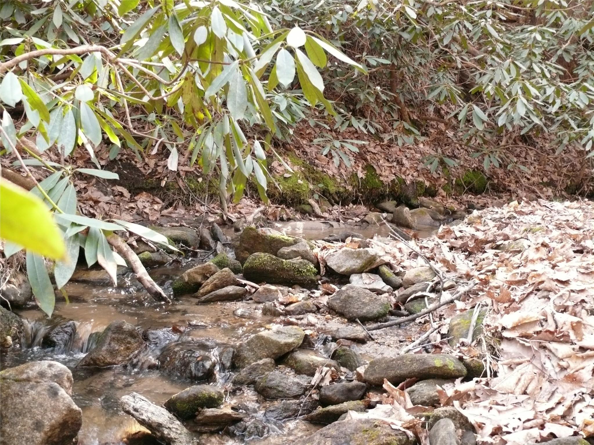 Lot 211 Quail Ridge Rd Lake Lake Lure, NC 28746 - Photo 10 of 25 a view of a tree with a yard