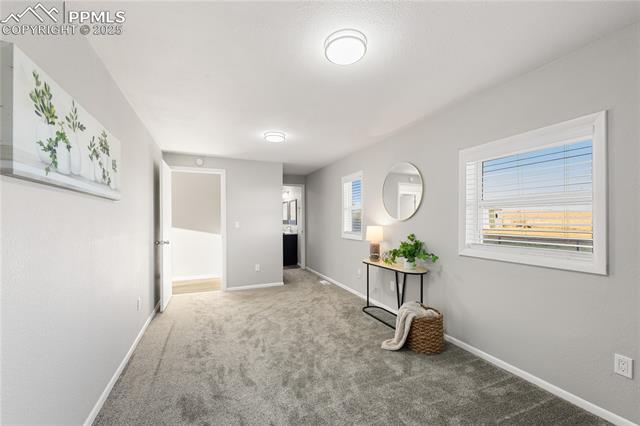 6945 North Baggett Road Calhan, CO 80808 - Photo 15 of 43 Gallery Image 15