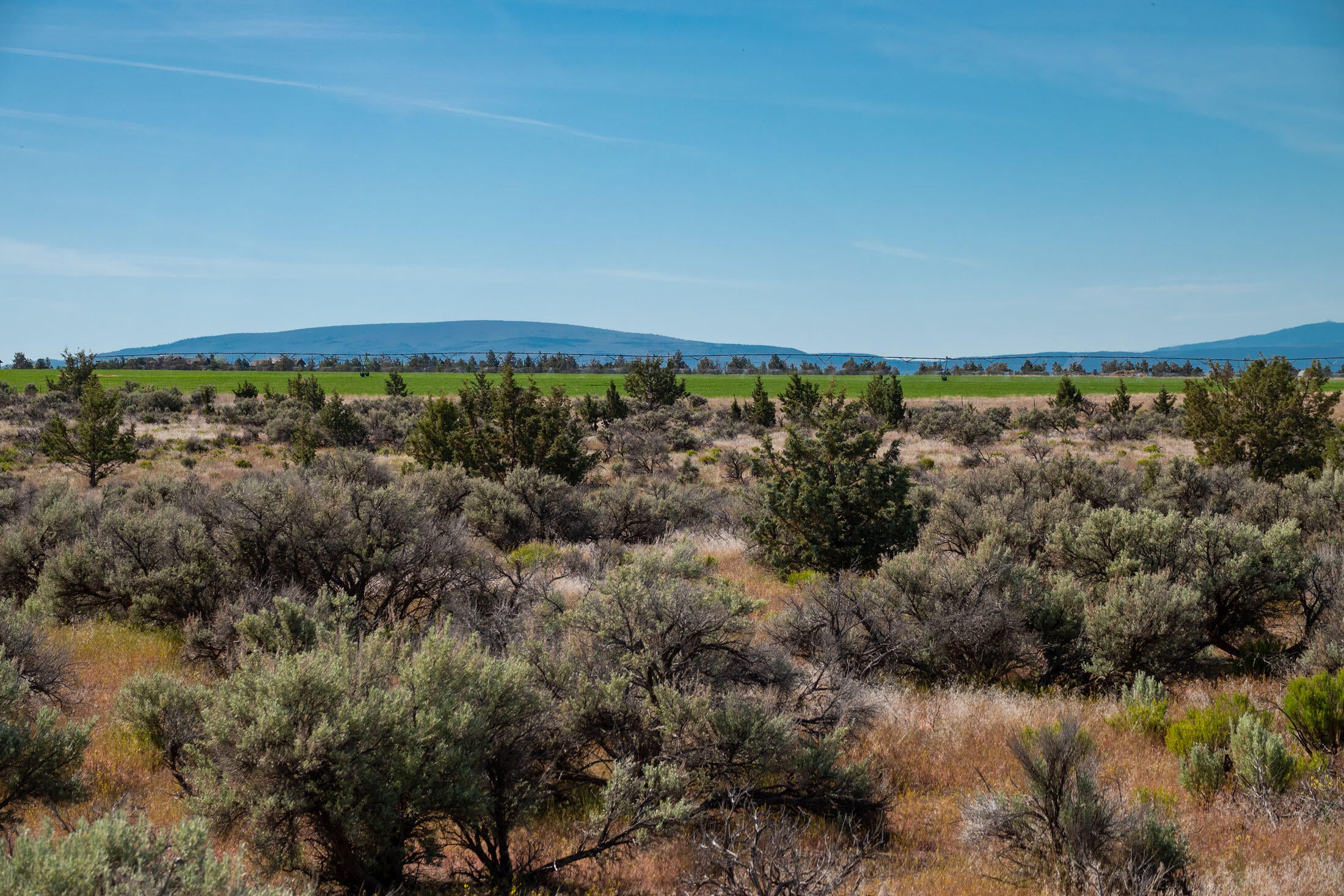 Lot 13 Grandview Road Powell Butte, OR 97753 - Photo 31 of 44 Lot 13 Grand View_0031 copy