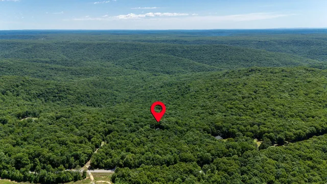 a view of a field with a tree