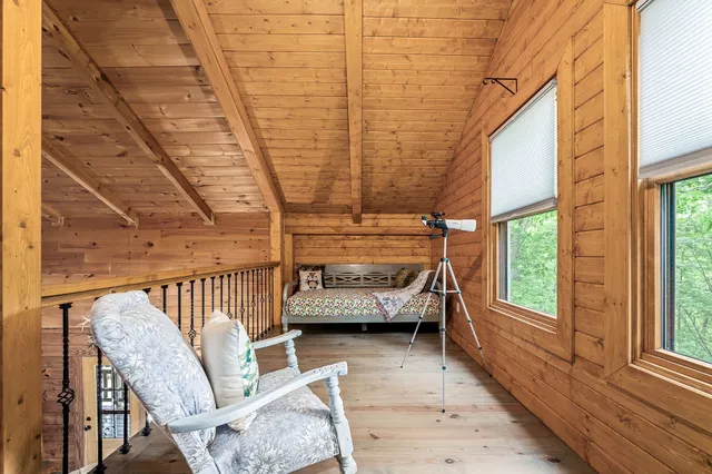 a view of a large yard with plants and large trees
