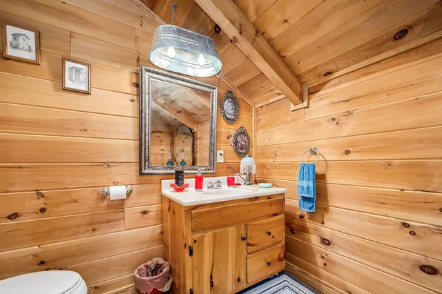 a view of a forest with a toilet