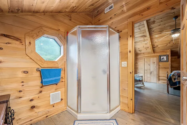 a view of a lush green forest with lots of trees