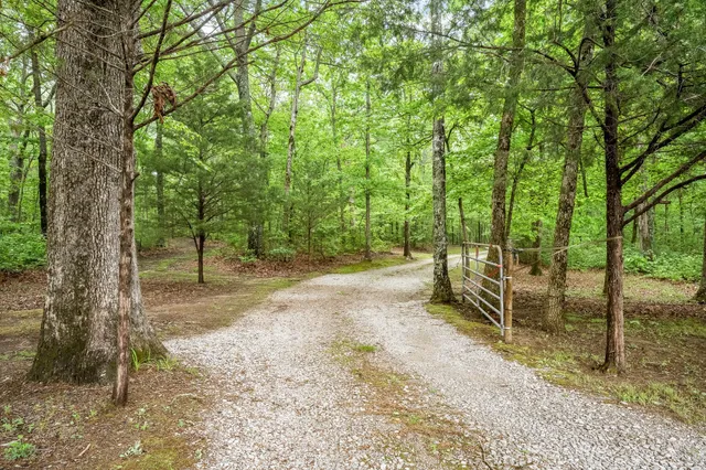 a house with trees in the background
