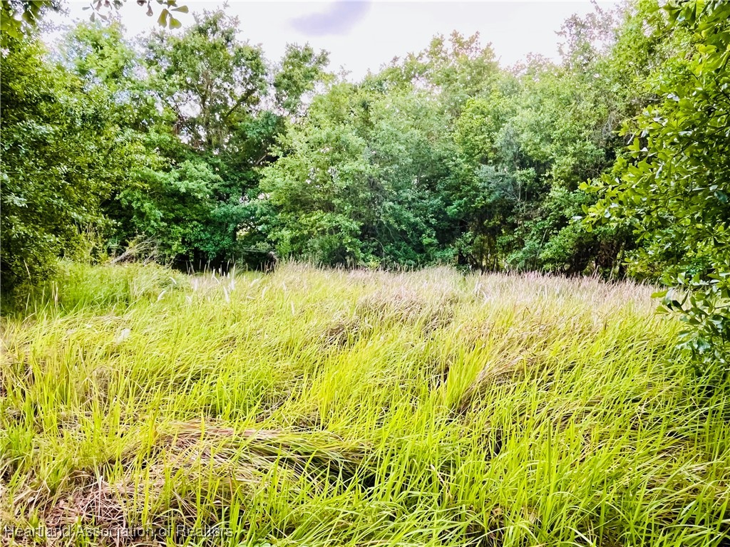 1191 Manley Road Wauchula, FL 33873 - Photo 4 of 8