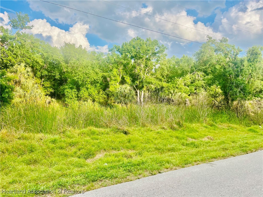 1191 Manley Road Wauchula, FL 33873 - Photo 5 of 8