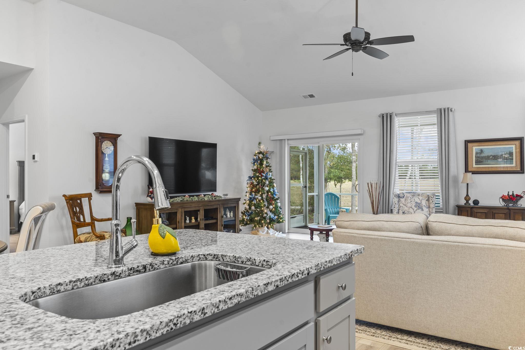 394 Sun Colony Boulevard Longs, SC 29568 - Photo 14 of 40 Shows the oversized undermount sink with modern faucet and granite countertop detail.