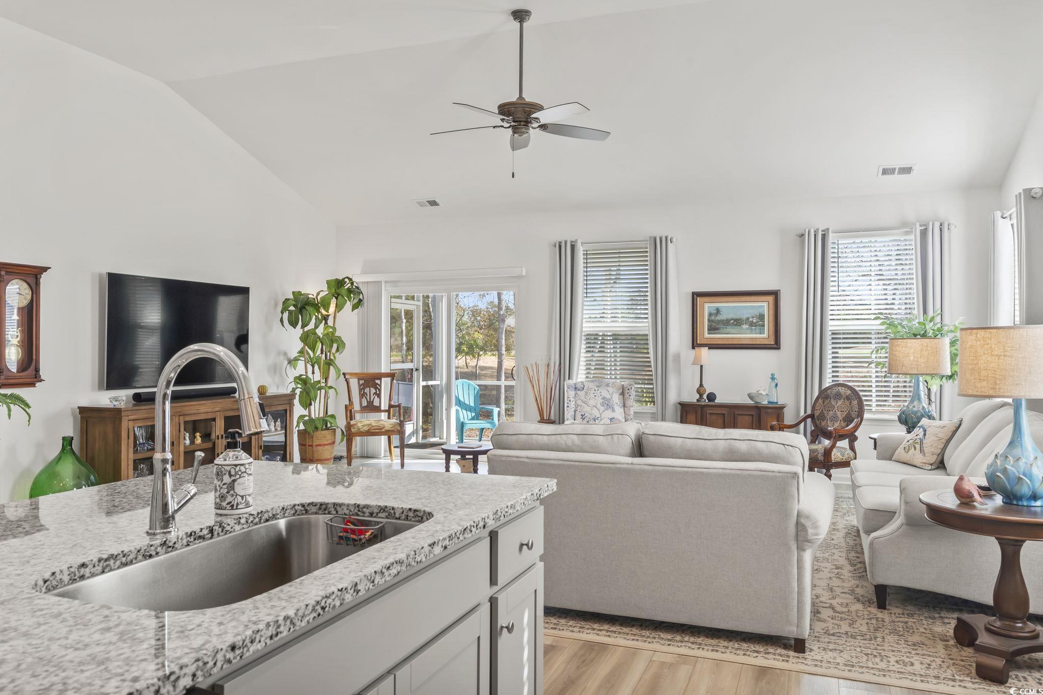 394 Sun Colony Boulevard Longs, SC 29568 - Photo 17 of 37 Shows the oversized undermount sink with modern faucet and granite countertop detail.