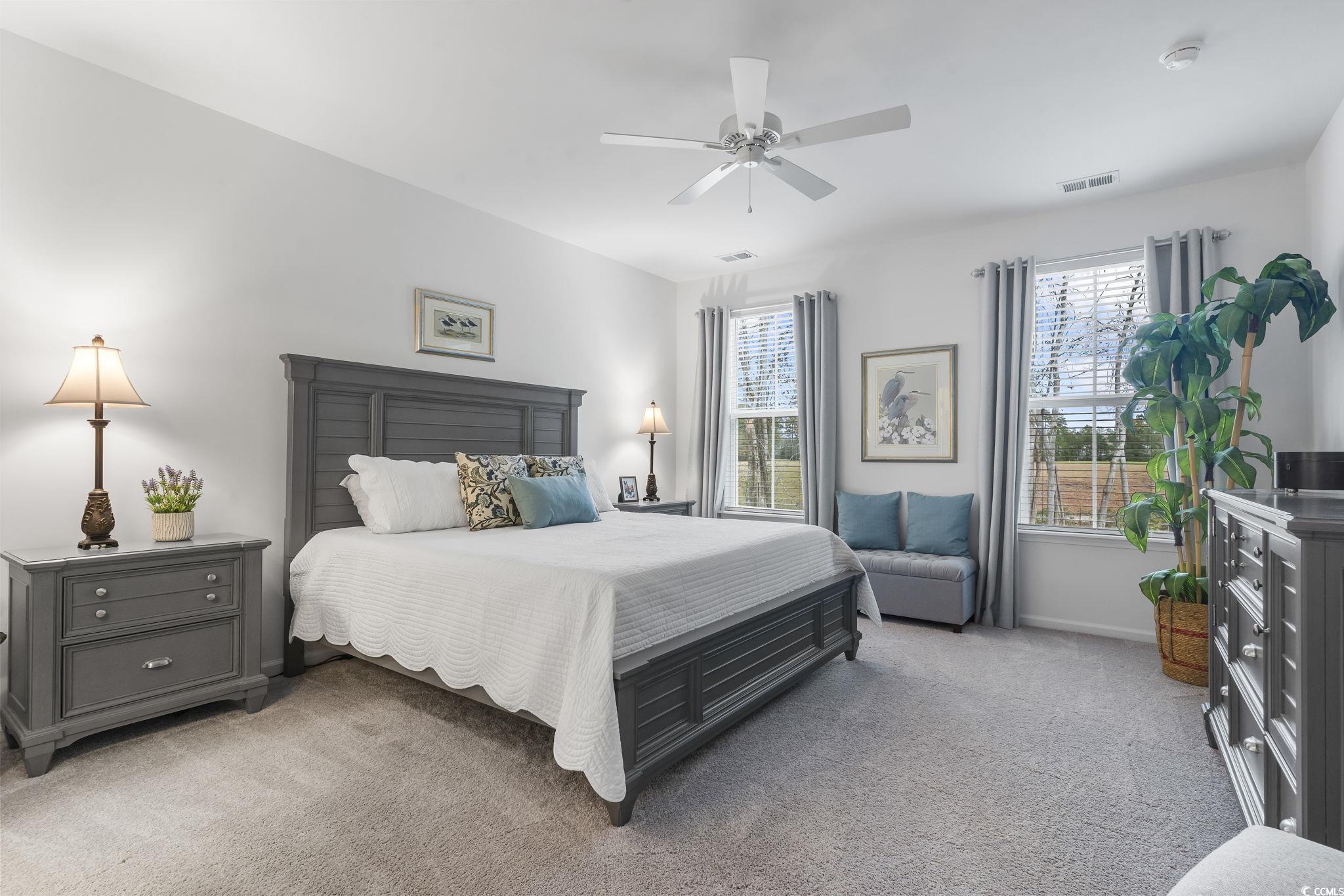 394 Sun Colony Boulevard Longs, SC 29568 - Photo 19 of 40 Spacious primary suite with ceiling fan, upgraded blinds, and views of the backyard.