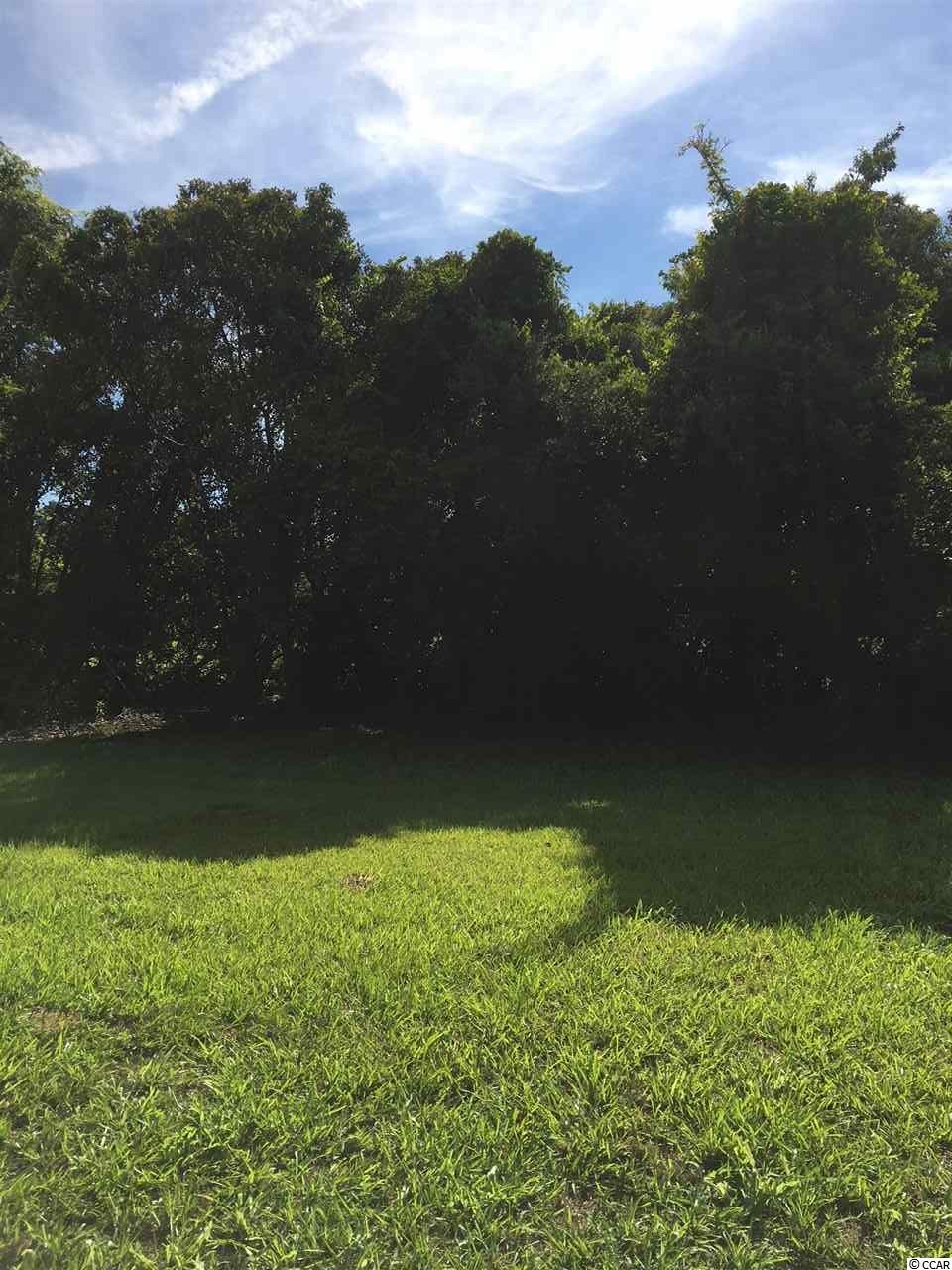 1476 Old Gapway Road Salters, SC 29590 - Photo 14 of 17 Gallery Image 14