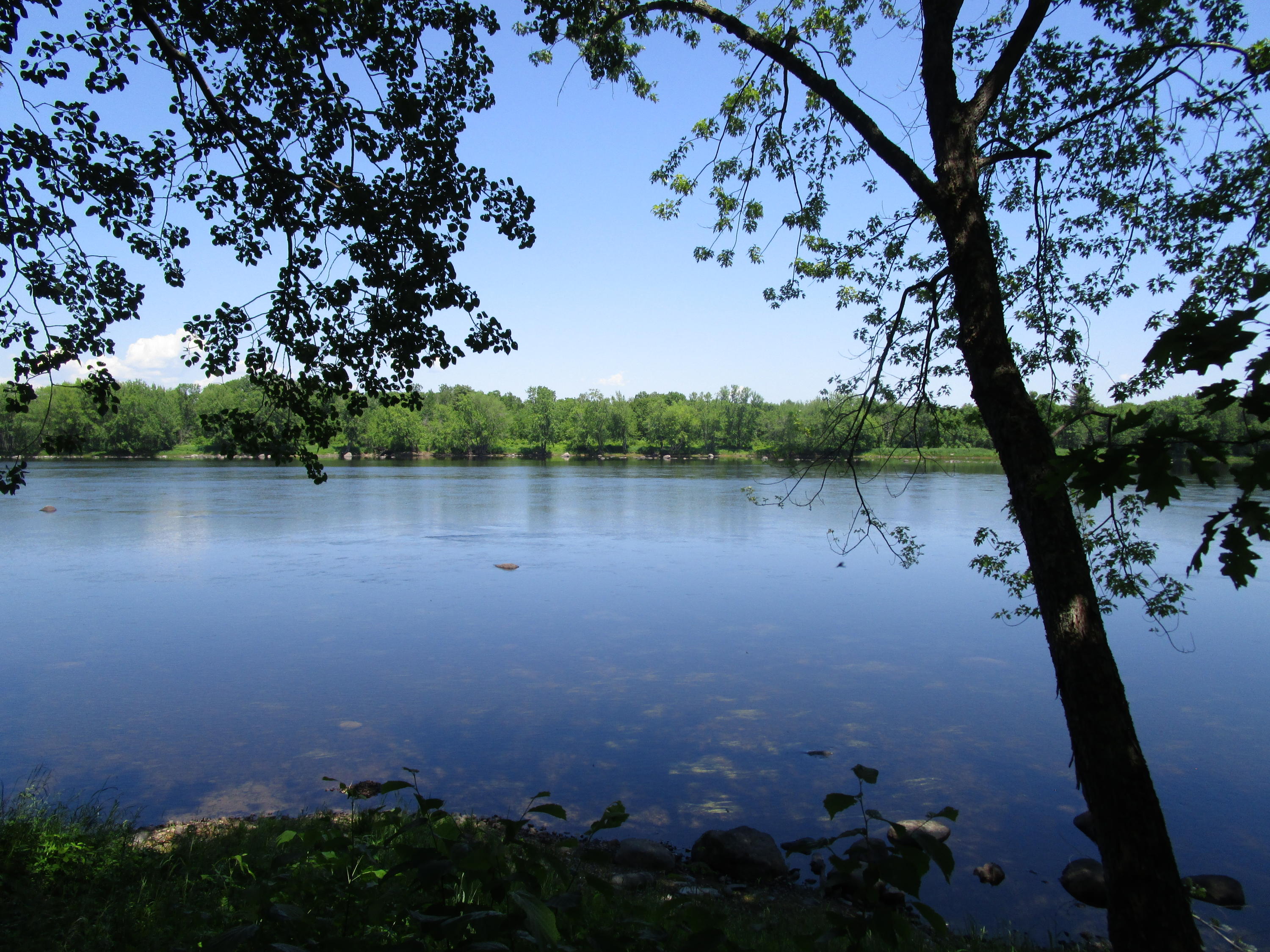 0 Edinburg Road Howland, ME 04448 - Photo 2 of 8 IMG_0840