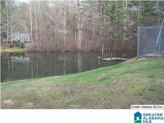 310 County Road 921 Delta, AL 36258 - Photo 3 of 14